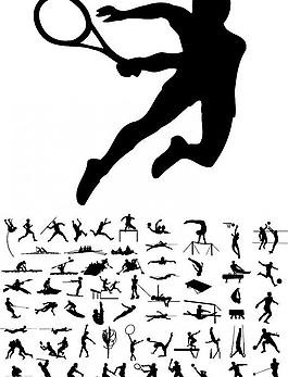 [中超]特谢拉破门路易斯进球 申花两球完胜三镇