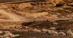 Doinb透露LPL官方下血本，10倍工资邀请顶级选手陪练，势必拿下S15冠军